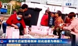 韩国肮脏的血在线观看